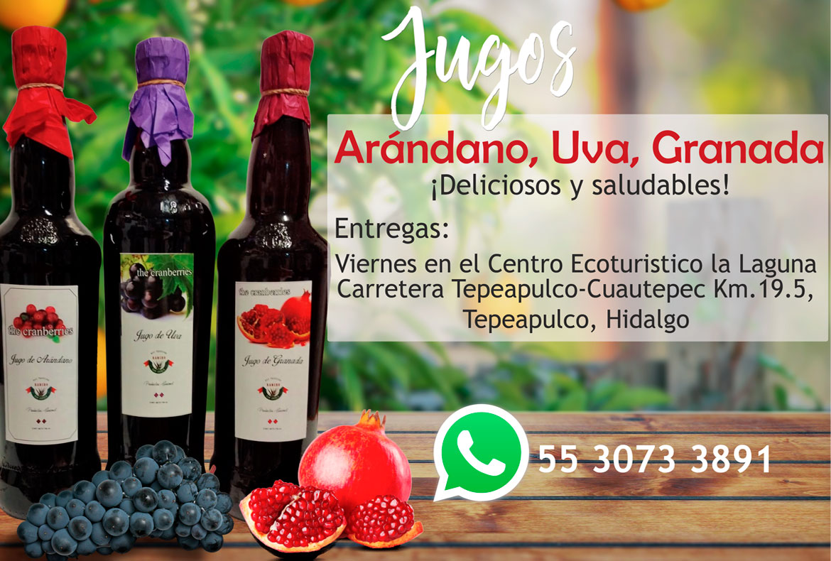 07-tepeyolotli-jugos